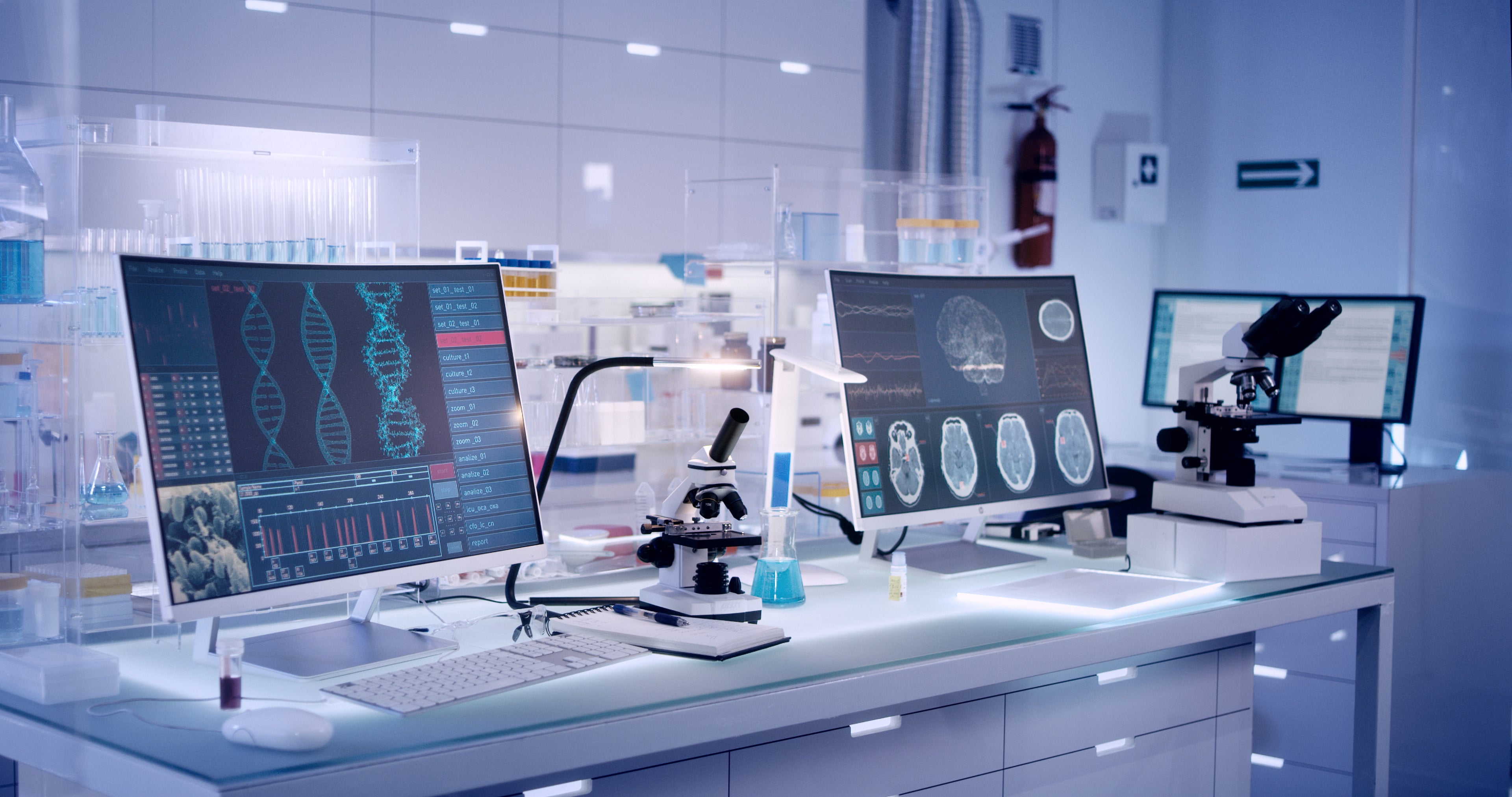 Immunity Booster - 4-in-1 with Vitamin C, Zinc, Quercetin and Echinacea